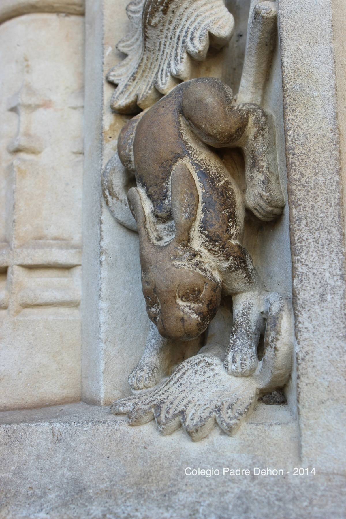 2014 03 22 SALAMANCA CATEDRAL PUERTA DE RAMOS LIEBRE (84)